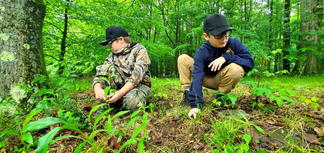 Cub Scout Camp Held In Pine Grove News, Sports, Jobs Times Observer